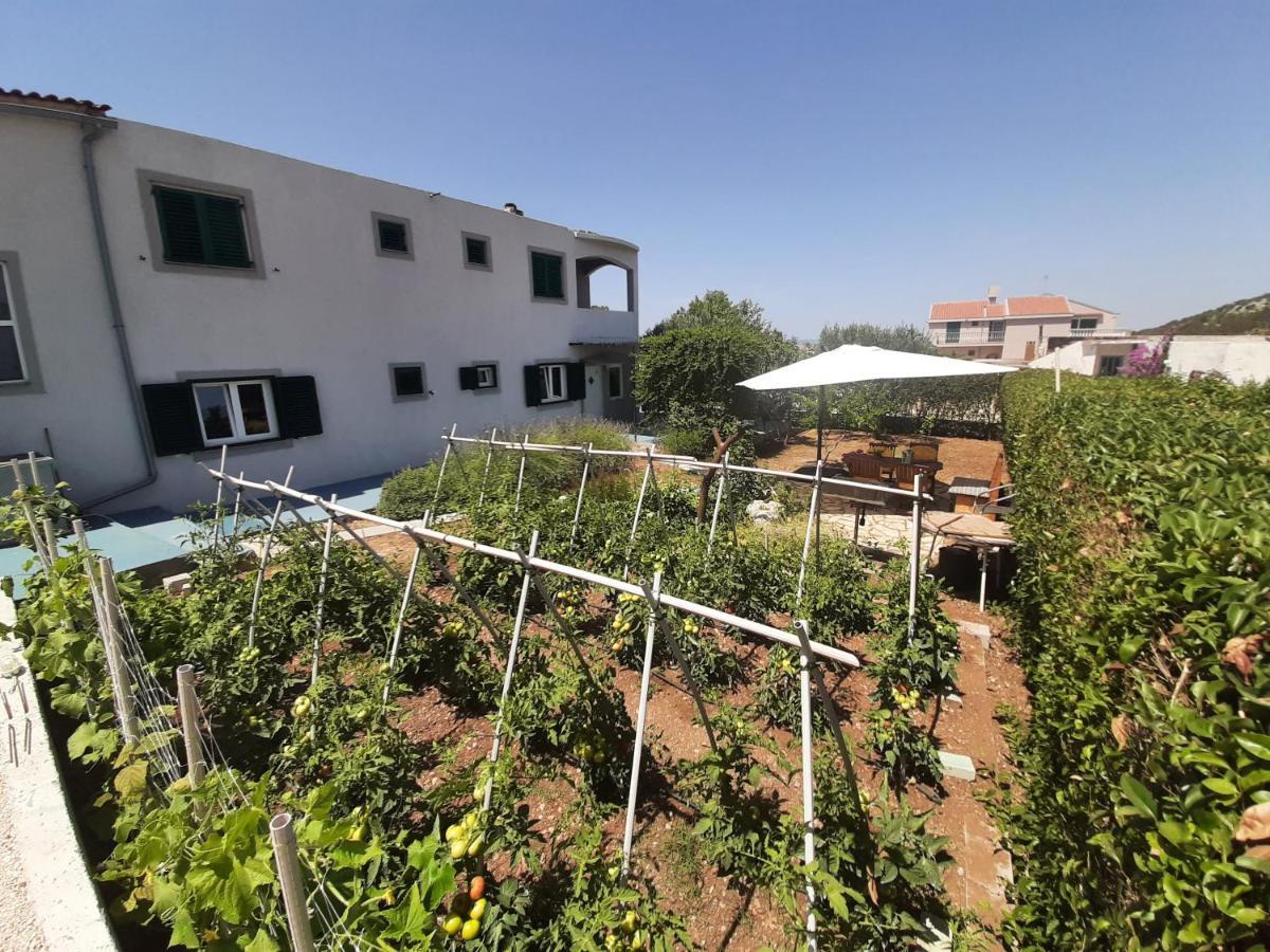 Apartments Borna Drage Extérieur photo